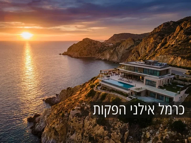 צילום אווירי ברחפן